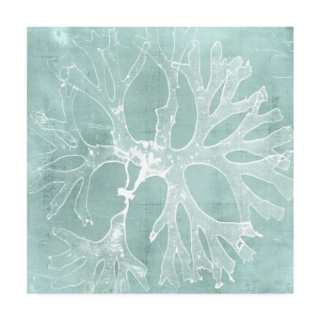 Vision Studio 'Seaweed On Aqua III' Canvas Art,14x14